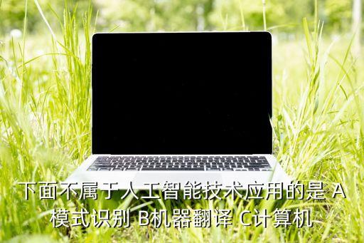 下面不屬于人工智能技術(shù)應(yīng)用的是 A模式識別 B機(jī)器翻譯 C計算機(jī)