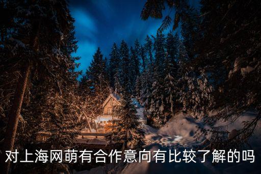 對(duì)上海網(wǎng)萌有合作意向有比較了解的嗎