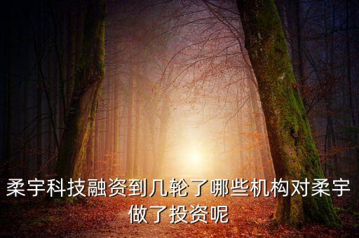 柔宇科技融資到幾輪了哪些機(jī)構(gòu)對(duì)柔宇做了投資呢