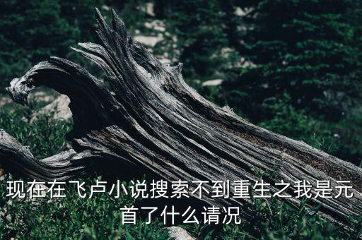 現(xiàn)在在飛盧小說搜索不到重生之我是元首了什么請況