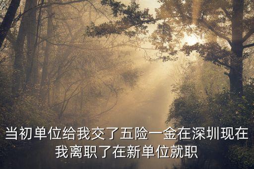當(dāng)初單位給我交了五險(xiǎn)一金在深圳現(xiàn)在我離職了在新單位就職