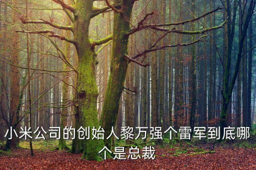 小米公司的創(chuàng)始人黎萬(wàn)強(qiáng)個(gè)雷軍到底哪個(gè)是總裁
