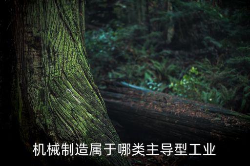 機(jī)械制造屬于哪類主導(dǎo)型工業(yè)