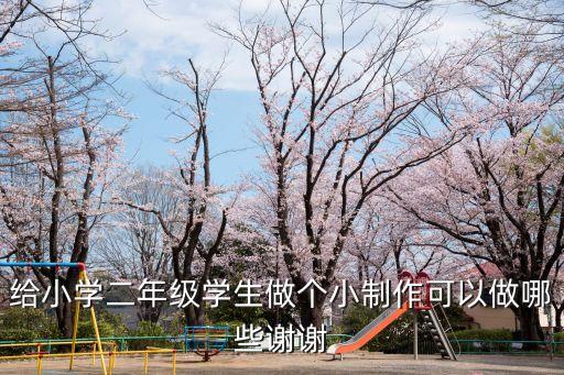 給小學(xué)二年級(jí)學(xué)生做個(gè)小制作可以做哪些謝謝