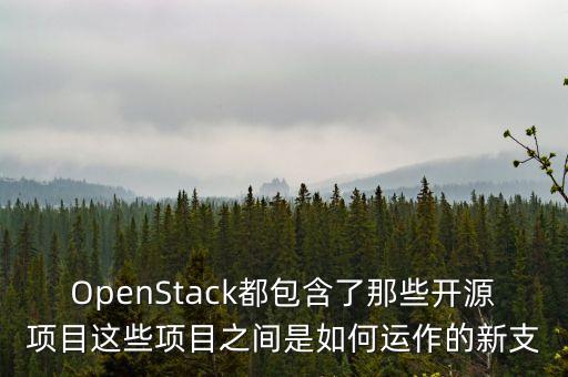 openai項(xiàng)目，OpenStack都包含了那些開(kāi)源項(xiàng)目這些項(xiàng)目之間是如何運(yùn)作的新支