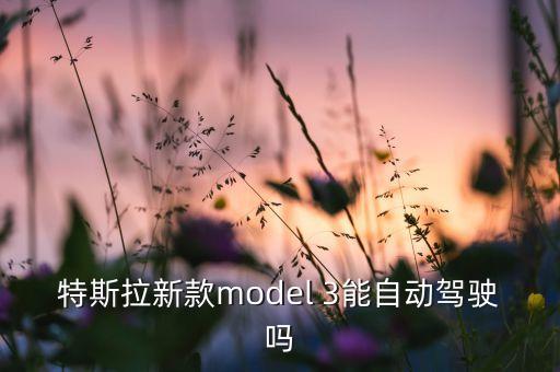 特斯拉新款model 3能自動駕駛嗎