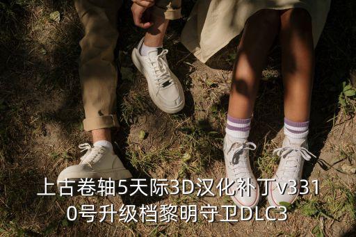 上古卷軸5天際3D漢化補(bǔ)丁v3310號(hào)升級(jí)檔黎明守衛(wèi)DLC3