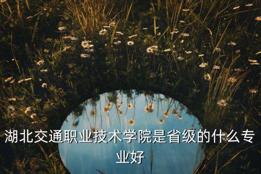 湖北交通職業(yè)技術(shù)學(xué)院是省級(jí)的什么專(zhuān)業(yè)好