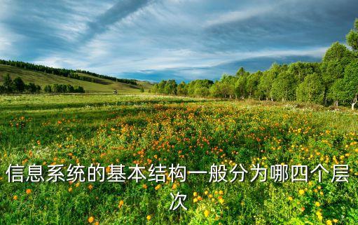 信息系統的基本結構一般分為哪四個層次