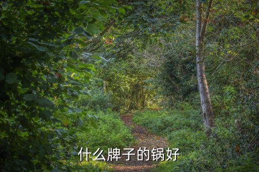 什么品牌的炒鍋好，什么牌子的鍋好