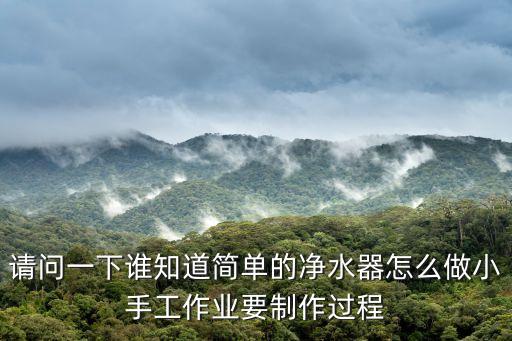 請問一下誰知道簡單的凈水器怎么做小手工作業(yè)要制作過程