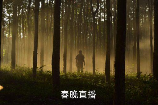 春晚直播