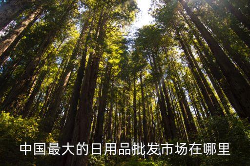 智能生活用品批發(fā)市場(chǎng)，中國(guó)哪里的智能智能電器批發(fā)城最大