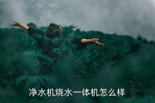 凈水熱水器一體機，凈水機燒水一體機怎么樣