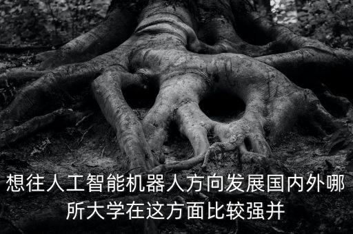 想往人工智能機器人方向發(fā)展國內外哪所大學在這方面比較強并