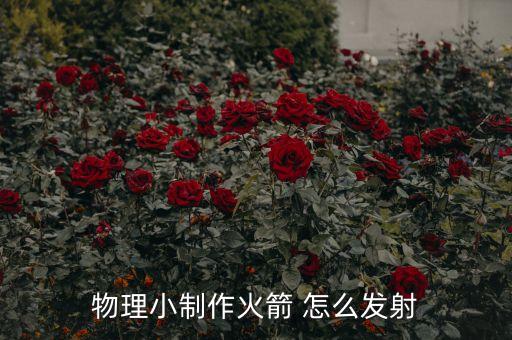 物理小制作火箭 怎么發(fā)射