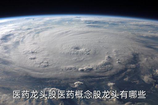 醫(yī)藥龍頭股醫(yī)藥概念股龍頭有哪些