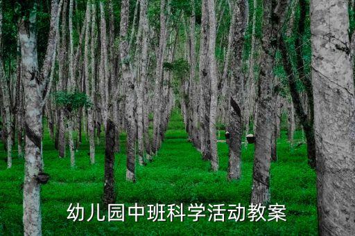 幼兒園中班科學(xué)活動(dòng)教案