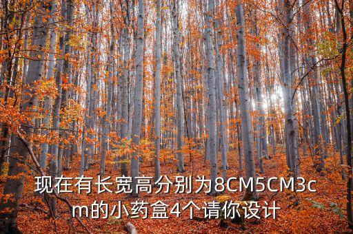定時(shí)藥盒畢業(yè)設(shè)計(jì)，畢業(yè)設(shè)計(jì)說明
