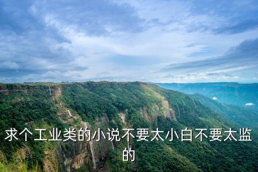 求個(gè)工業(yè)類的小說不要太小白不要太監(jiān)的
