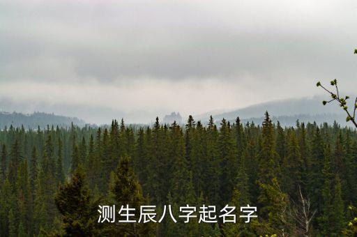 測(cè)生辰八字起名字