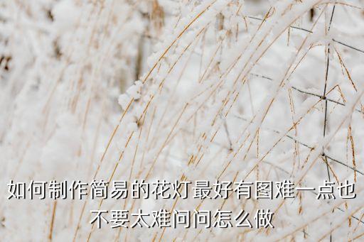如何制作簡易的花燈最好有圖難一點也不要太難問問怎么做