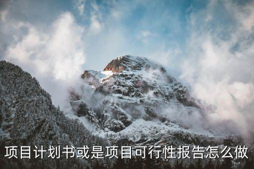 項目計劃書可行性報告，可行性報告和商業(yè)計劃書有啥區(qū)別