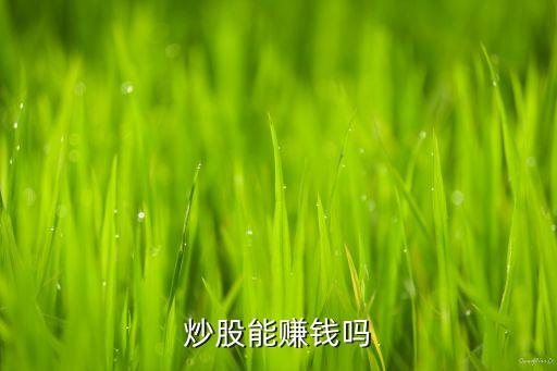 炒股能賺錢嗎