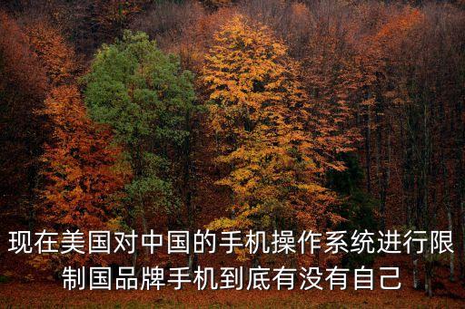 美國在科技上對中國的限制，高科技與中美關(guān)系