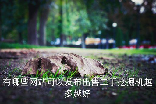 有哪些網(wǎng)站可以發(fā)布出售二手挖掘機越多越好