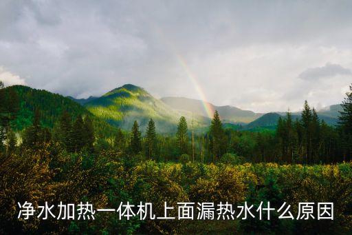 加熱一體直飲水機(jī) 熱水，自動(dòng)飲水機(jī)加熱后不停冒熱水是什么原因