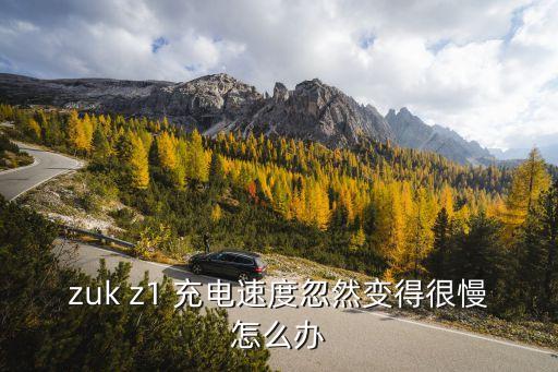 zuk z1 充電速度忽然變得很慢怎么辦
