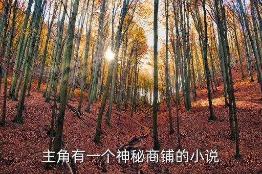 主角有一個神秘商鋪的小說