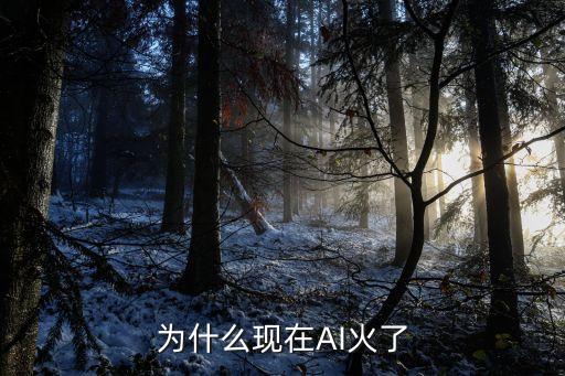 為什么現(xiàn)在AI火了
