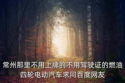 無需駕照的四輪電動汽車品牌，常州那里不用上牌的不用駕駛證的燃油四輪電動汽車求問百度網(wǎng)友
