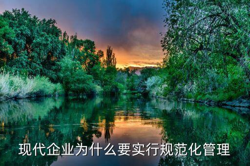 現(xiàn)代企業(yè)為什么要實(shí)行規(guī)范化管理