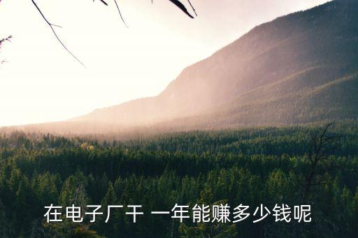 在電子廠干 一年能賺多少錢呢