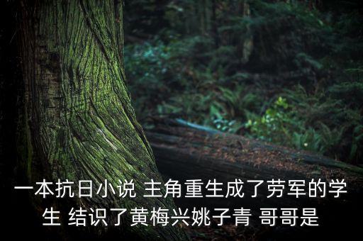 一本抗日小說(shuō) 主角重生成了勞軍的學(xué)生 結(jié)識(shí)了黃梅興姚子青 哥哥是