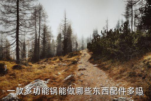 一款多功能鍋能做哪些東西配件多嗎
