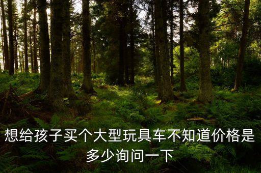 想給孩子買個(gè)大型玩具車不知道價(jià)格是多少詢問一下
