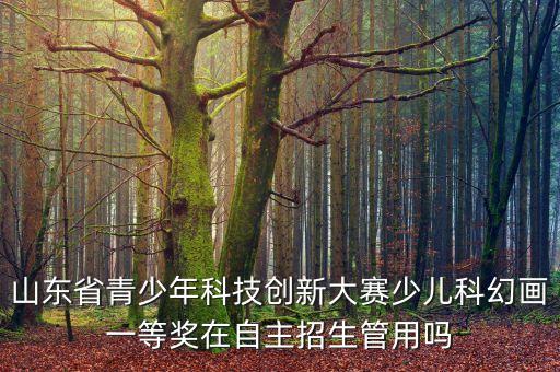 山東省青少年科技創(chuàng)新大賽少兒科幻畫一等獎(jiǎng)在自主招生管用嗎