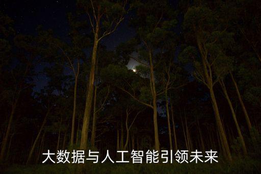 智能大數(shù)據(jù)，大數(shù)據(jù)和人工智能之間的聯(lián)系在