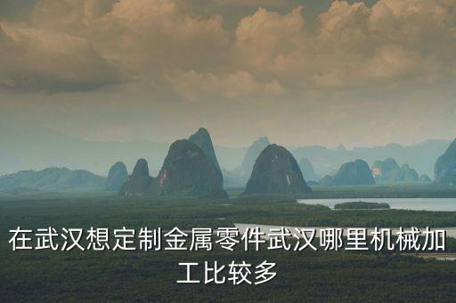 在武漢想定制金屬零件武漢哪里機(jī)械加工比較多