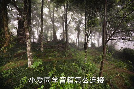小愛同學(xué)智能音響怎么連接，vivo手機(jī)怎么連接小愛同學(xué)音箱