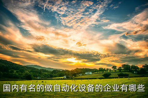 自動化設(shè)備龍頭企業(yè)，請問有誰知道哪些上市公司生產(chǎn)自動化設(shè)備最好是做自動化生產(chǎn)線
