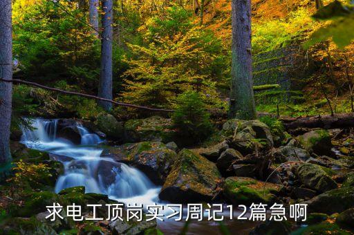 求電工頂崗實習(xí)周記12篇急啊