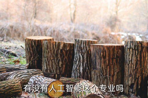 有沒有人工智能這個(gè)專業(yè)嗎