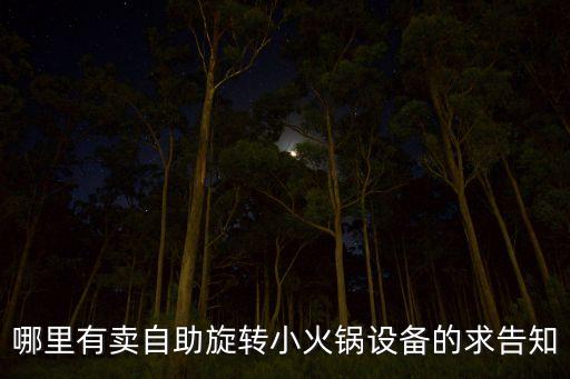 旋轉(zhuǎn)小火鍋設(shè)備哪里有賣的，哪里有賣自助旋轉(zhuǎn)小火鍋設(shè)備的求告知