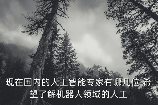 現(xiàn)在國內(nèi)的人工智能專家有哪幾位 希望了解機(jī)器人領(lǐng)域的人工