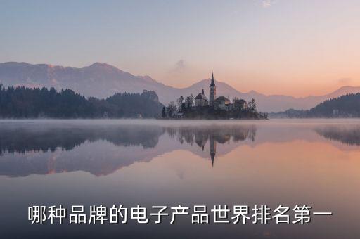 哪種品牌的電子產(chǎn)品世界排名第一